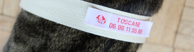 Des étiquettes fantaisies pour votre animal de compagnie ! Des étiquettes fantaisies pour votre animal de compagnie !